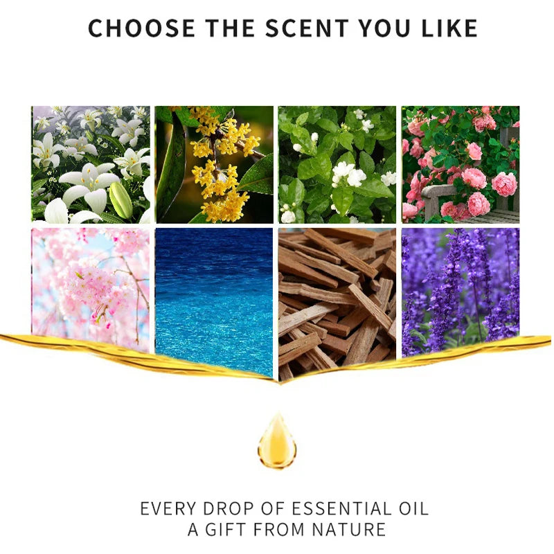 10Ml Incense Water Soluble Essential Oil Lavender Tea Tree Lemon Rose Ocean Scent Humidifiers Refreshing Relax Releasing Stress